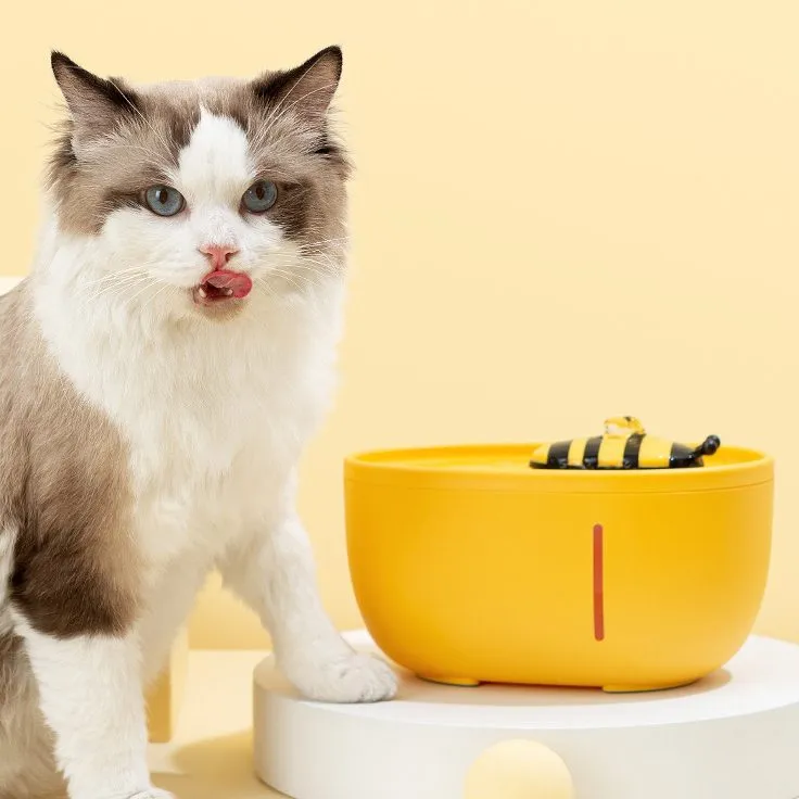 Cat Automatic Water Fountain  | Yellow Bee