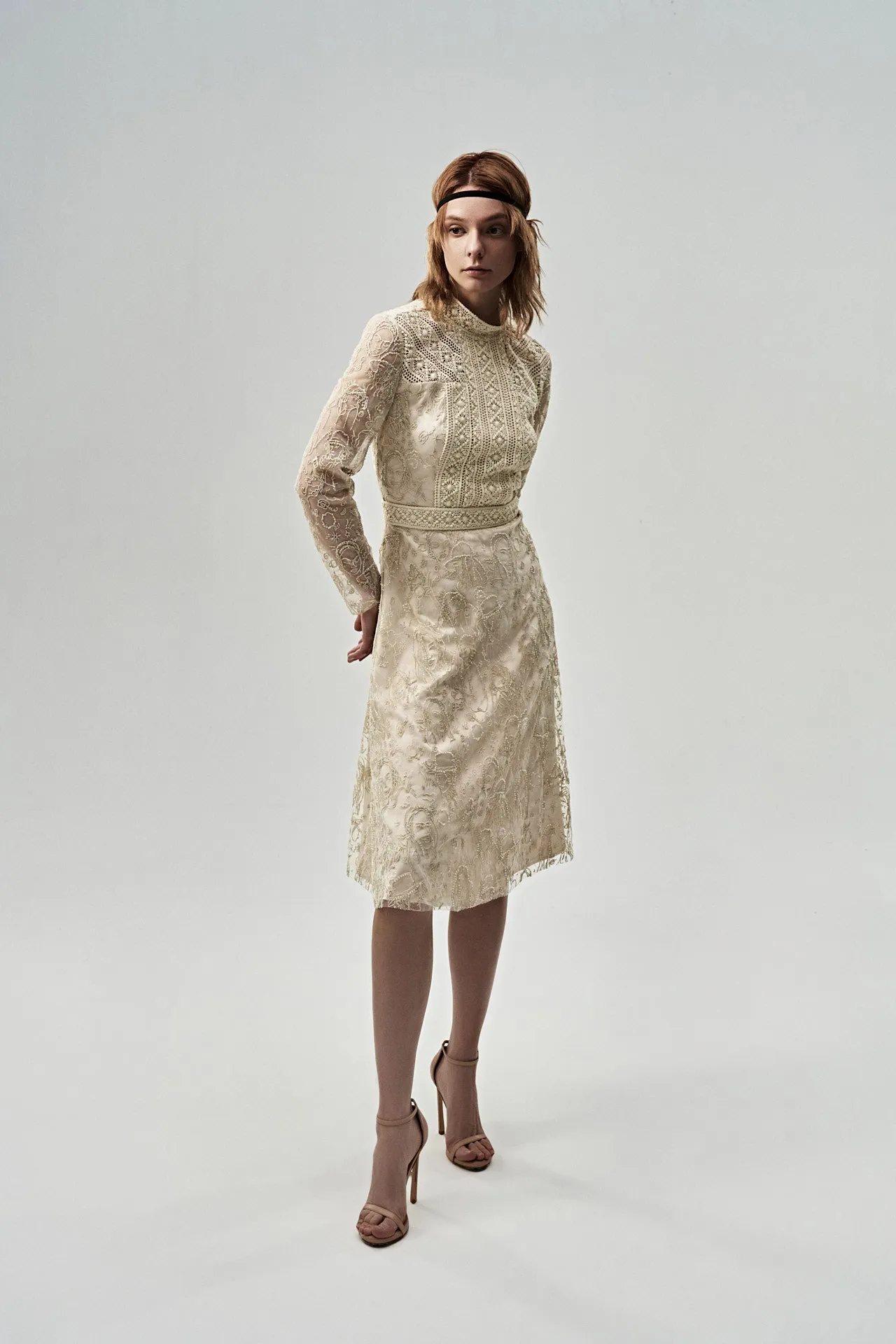 Elizabeth Embroidered Mesh Dress