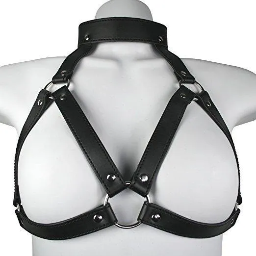 Harness with Gag & Nipple Clamps Set