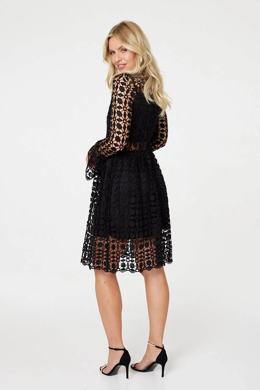 Lace Semi Sheer Skater Dress