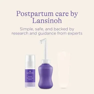 Lansinoh Postpartum Care and Recovery Kit - 8pc